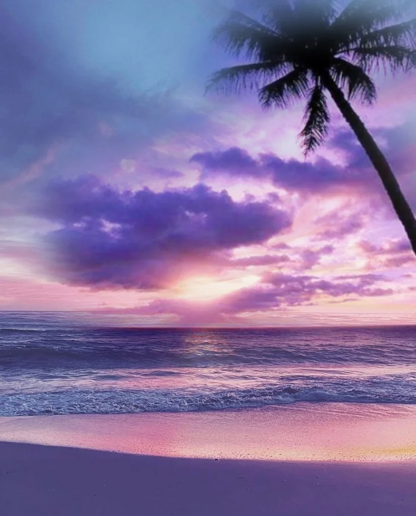 #Purple #Beach #Sunset #Pink #Woman #Glitter #clouds #Sea #Replay #Paisaje #Atardecer #Noche #Playa #Morado #Violeta #Rosa #Mujer #Fantasy #Fantasia #Remixed ⤵️