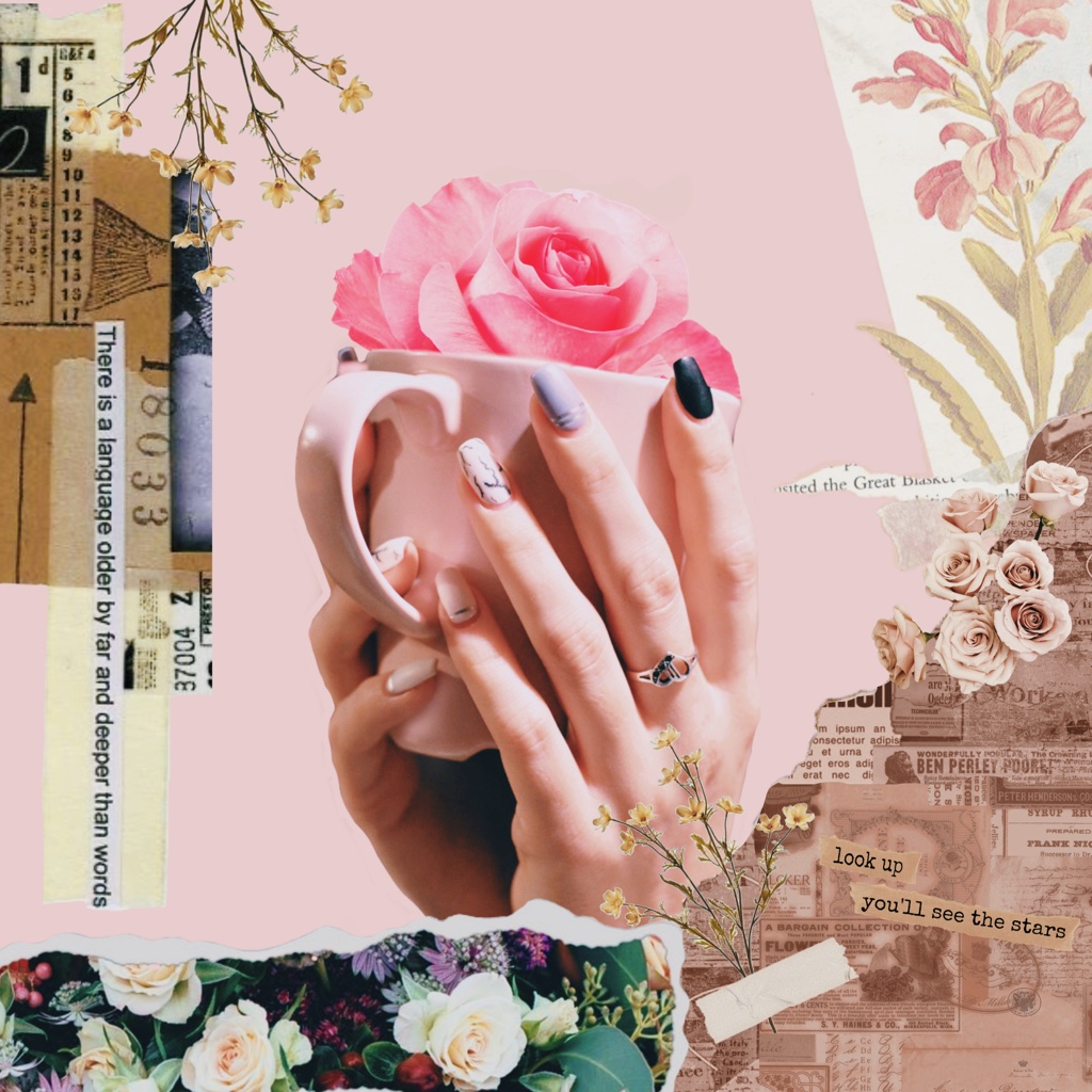 #コラージュ #collage #ドライフラワー #dryflower #rippedpaper #picsart #picsartjapan 