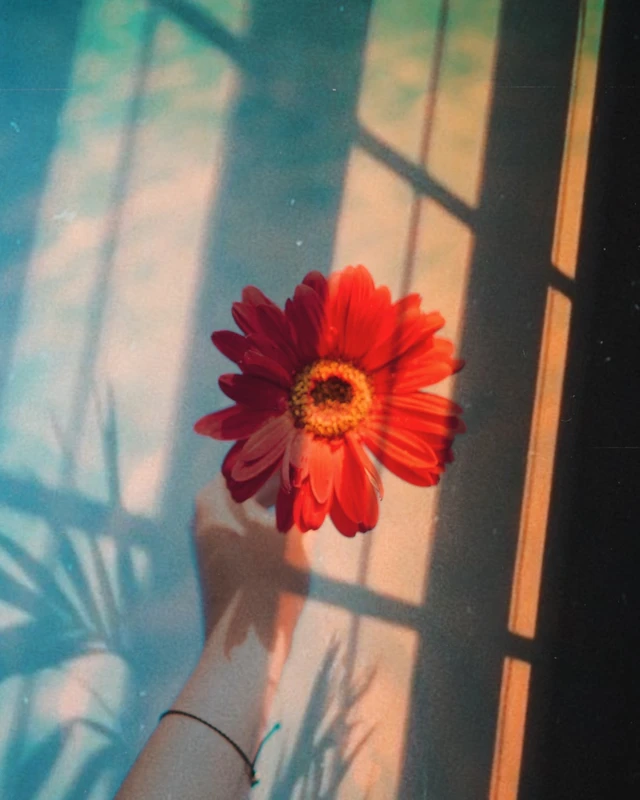 ピクスアート Picsart Image By Picsart 日本公式アカウント