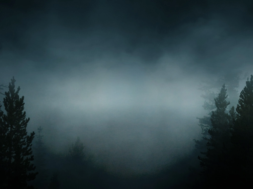 #freetoedit #dark #ship #fog #man #mysterious #forest #sea #be_creative 