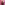 #kawaii #altfashion #pink #black #pinkandblack #monster #monsterhigh #monsterenergy #aesthetic #kawai #creepycute #creepy #cute #myspace #chains #replay @picsart #demonias #corset #tiara #kuromi #sanrio #hellokitty #carebear #kawaiigoth 