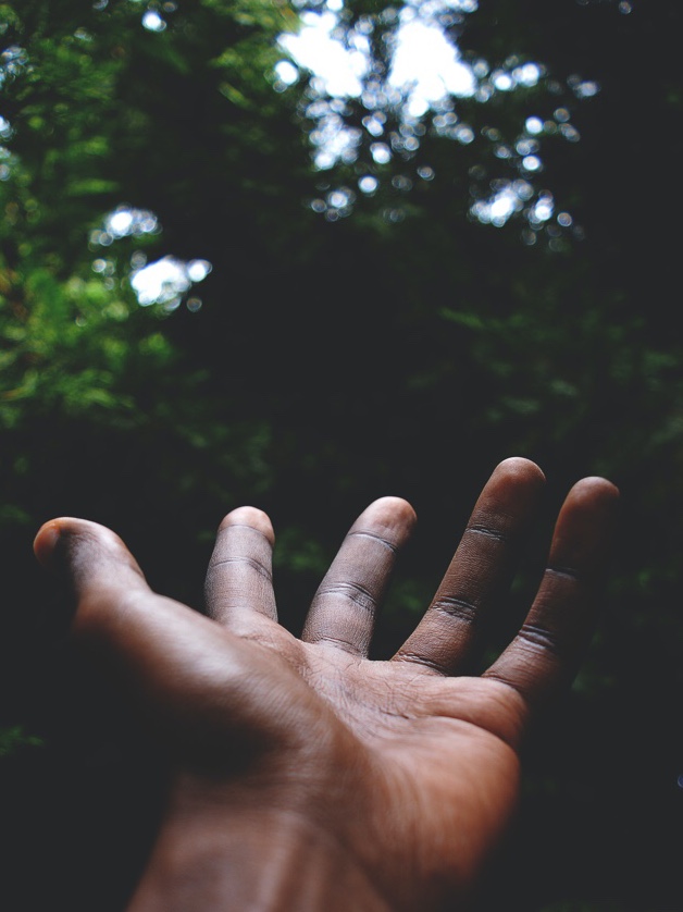 #butterfly #蝶々 #hand #fantasy #sparkle #neon #ファンタジー #キラキラ #ネオン #picsart #picsartjapan #picsartedit #madewithpicsart 