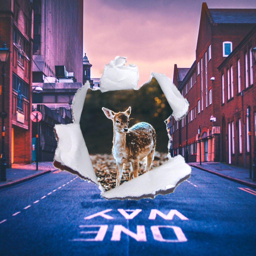 都会と大自然をMIX🌲🏙  #hole #dear #landscape #city #nature #ripped #破れ加工 #picsart #picsartedit #picsartjapan #はじめてのpicsart
#freetoedit