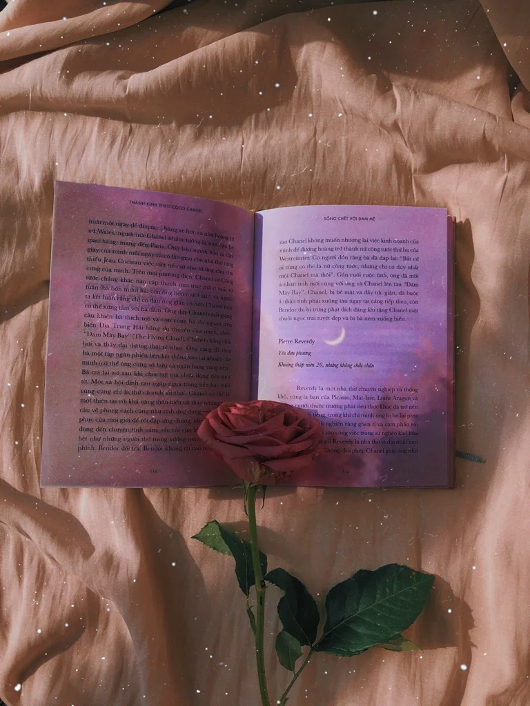 #Replay #Libro #Rosa #Flor #Cielo #Morado #Brillante #Brillos #Luna #Violeta #Rosa #Book #Glitter #Purple #PurpleAesthetic #Rose #Flower #Sky #Sparkles #Myedit #Remixed de ⤵️ ⤵️ ⤵️ #freetoedit  