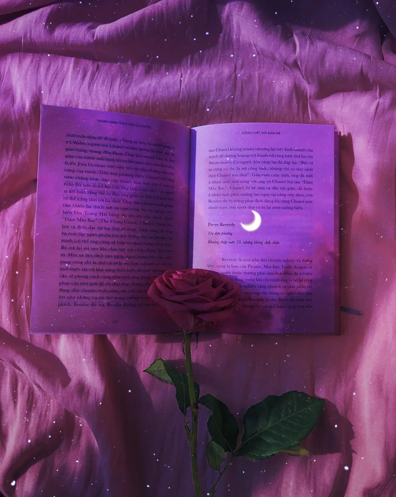 #Replay #Libro #Rosa #Flor #Cielo #Morado #Brillante #Brillos #Luna #Violeta #Rosa #Book #Glitter #Purple #PurpleAesthetic #Rose #Flower #Sky #Sparkles #Myedit #Remixed de ⤵️ ⤵️ ⤵️ #freetoedit  