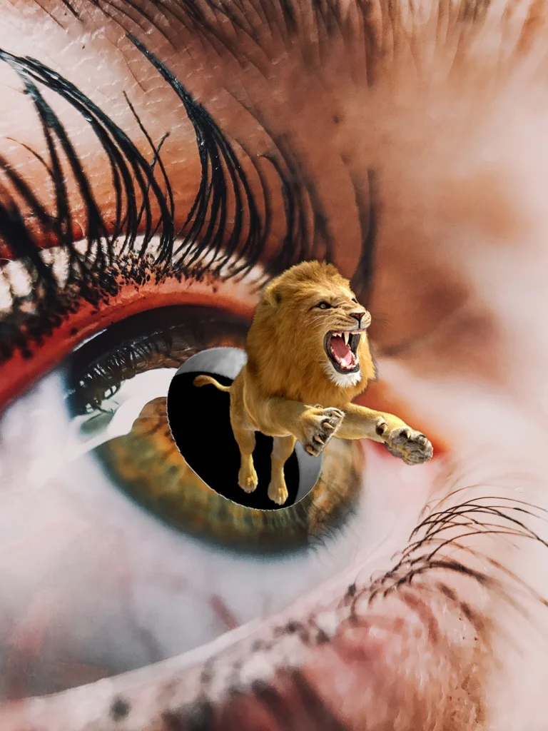 #iris #bokeh #lion #hole #eye #replay #myreplay #surreal #surrealism #fantasy #imagination #orient_arts #madewithpicsart #heypicsart #myedit #makeawesome #papicks #picsart @picsart 