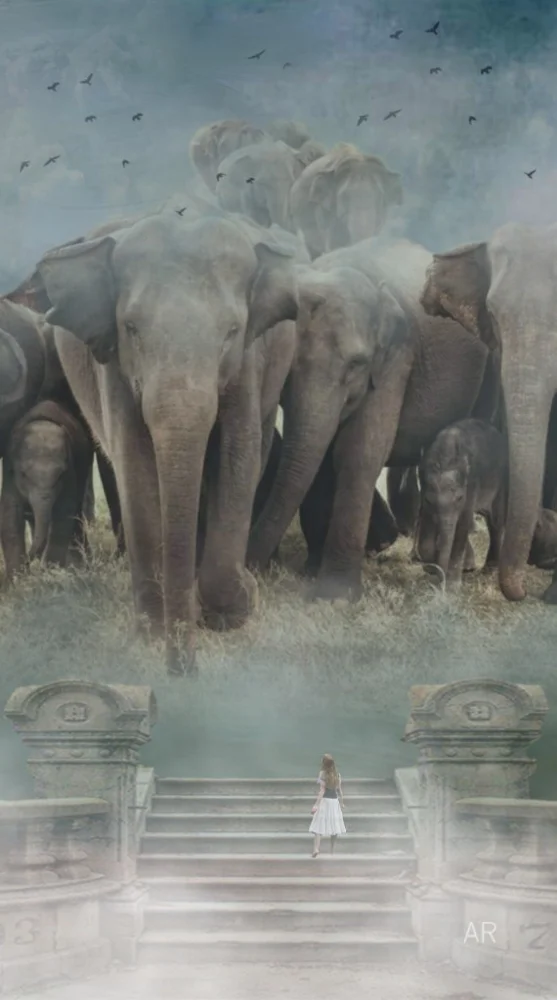 #oversized #elephants #girl #fog#birds