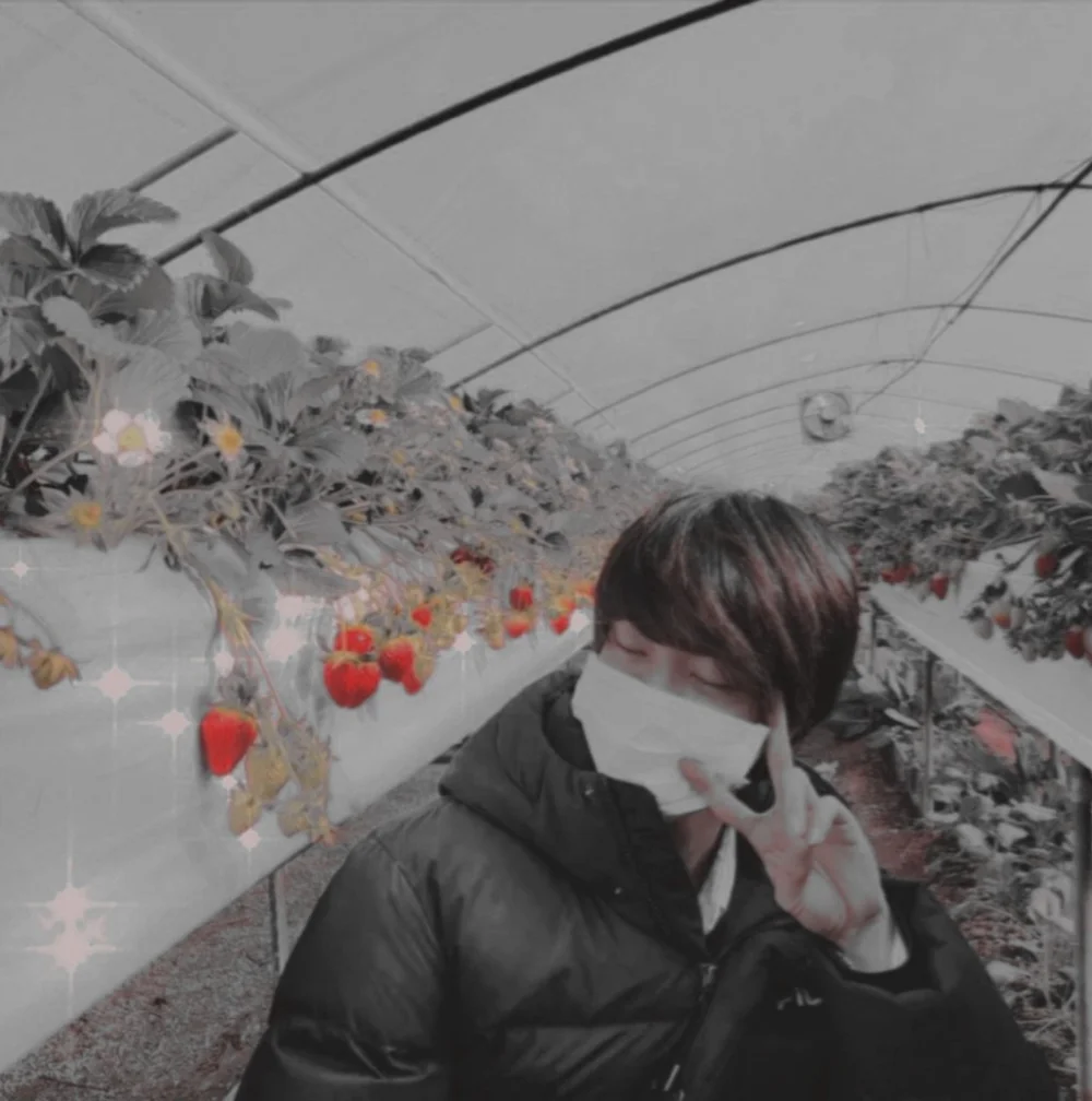 #worldwidehandsome  #marco#jin#blanco#cuadro#papel#seokjin#jinbts#fresa#Strawberry#korea#letras#kimseokjin#kpop#fondo#Corazón#borde#jardin#hermoso#flor#bangtan#fondorosa#textura#parque
