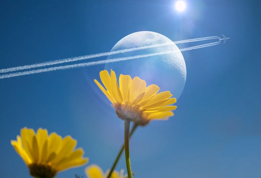 👇Please read description below👇

***Please don’t just make a copy of my edit. Use your imagination***
***Don’t forget to like it ❤️***

#sky #bluesky #moon #flower #flowershoutout #bee #airplane #sun #reflection #lensflare replay #myreplay #surreal #surrealism #fantasy #imagination #orient_arts #madewithpicsart #heypicsart #local #masterstoryteller #picsart @picsart