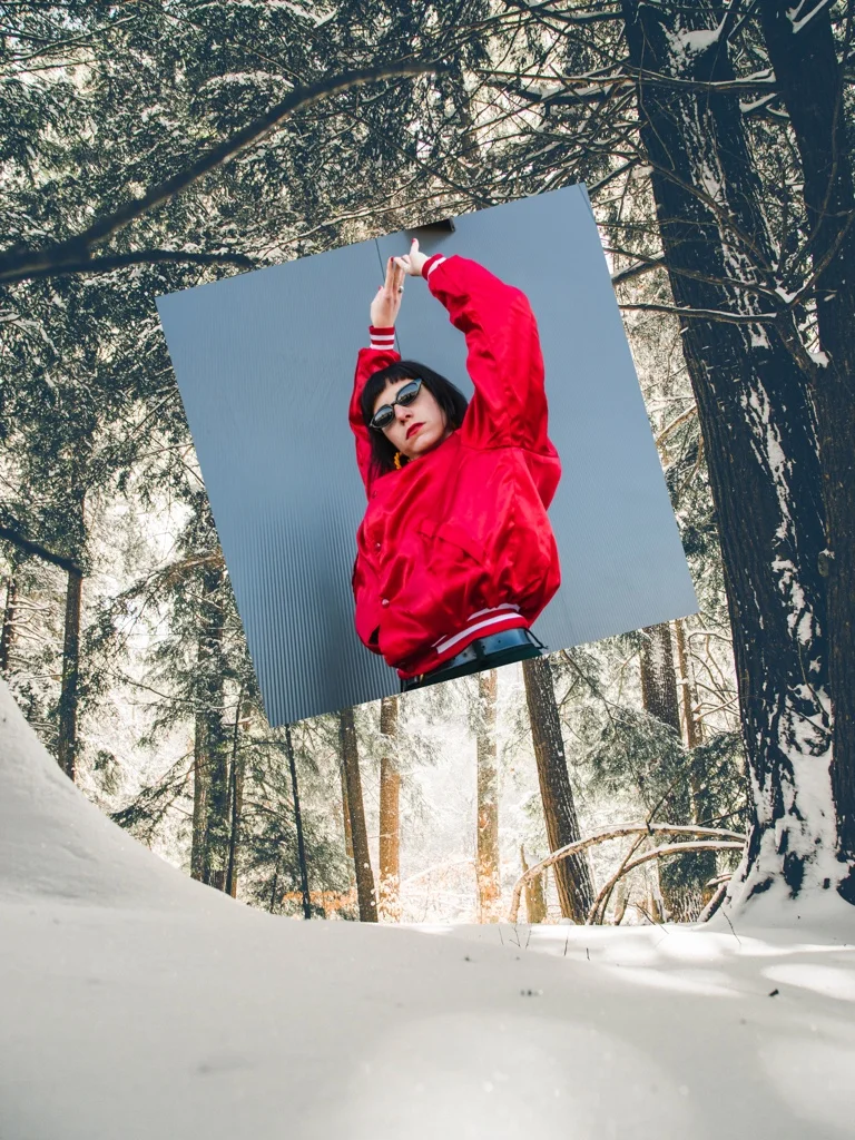 #freetoedit #polaroid #polaroidvibes #winter #winterwonderland 