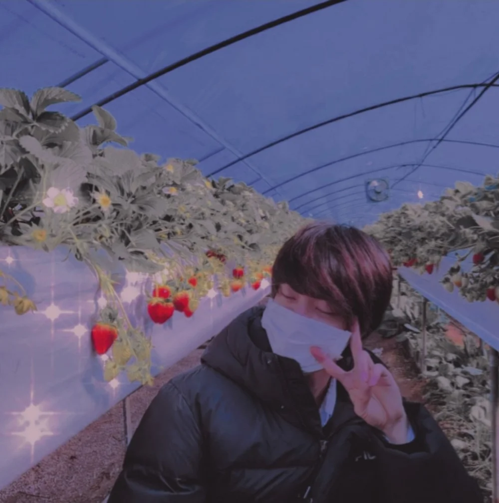 #worldwidehandsome  #marco#jin#blanco#cuadro#papel#seokjin#jinbts#fresa#Strawberry#korea#letras#kimseokjin#kpop#fondo#Corazón#borde#jardin#hermoso#flor#bangtan#fondorosa#textura#parque